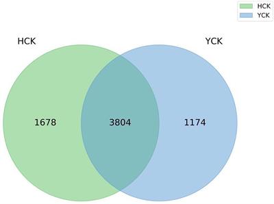 Analysis of gut microbiotal diversity in healthy young adults in Sunan County, Gansu Province, China